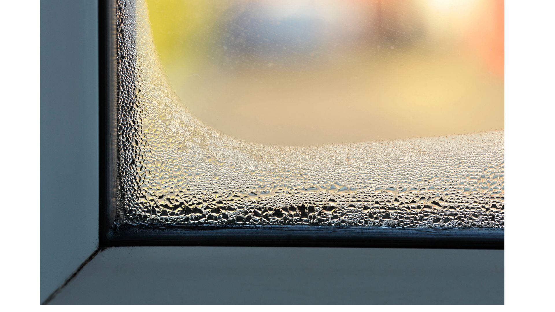 A window with condensation