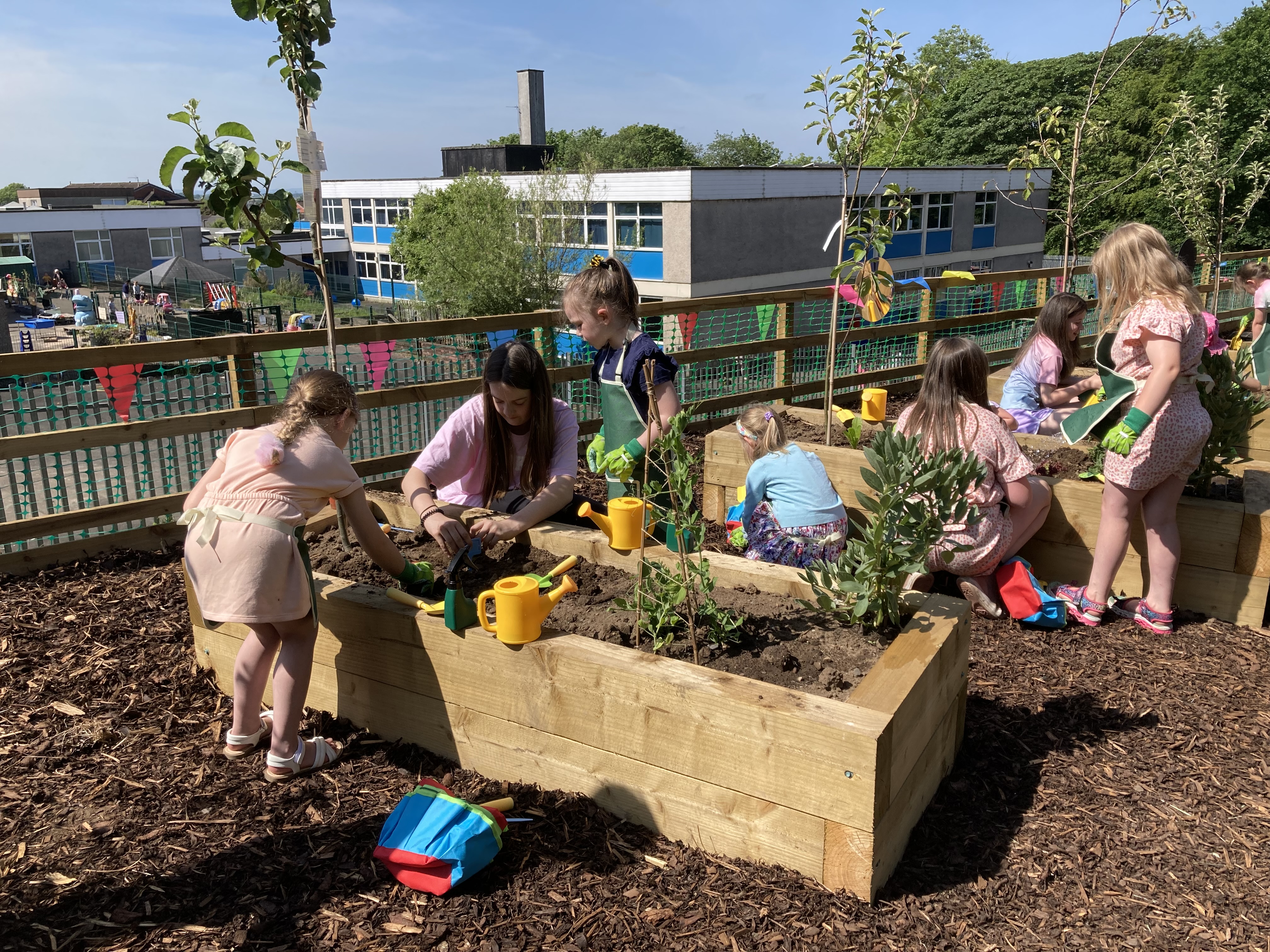 A photograph of children playing in the outdoor classroom, overlooking a school playground