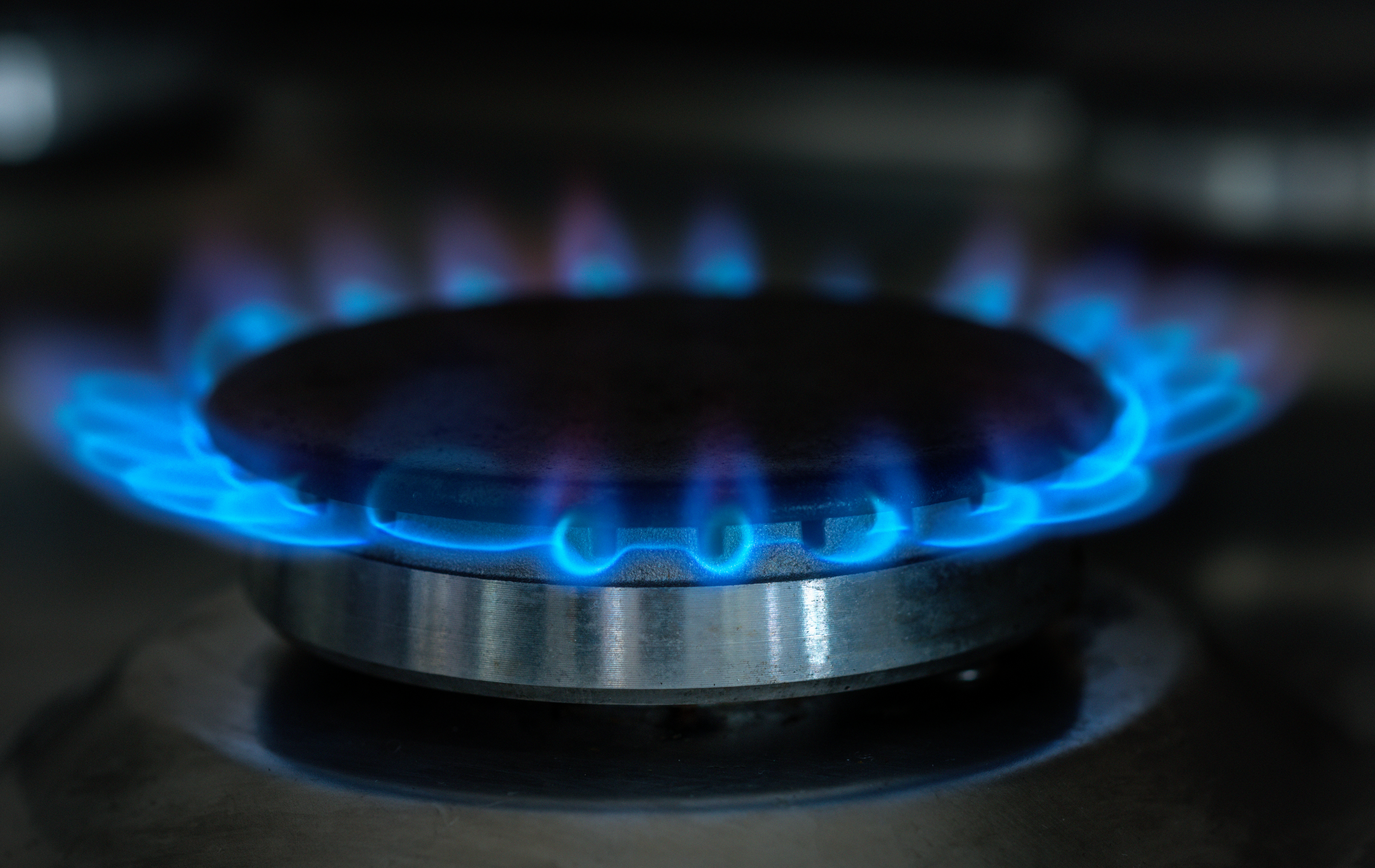 A lit gas hob with blue flames