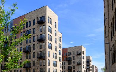 Modern mid-rise apartment buildings with light brick facades and black metal balconies line a residential development under a bright blue sky. Green leafy shrubs fill the foreground, while multiple contemporary buildings create a courtyard-like streetscape in the background.