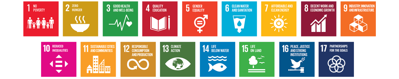 SDG UN Icons
