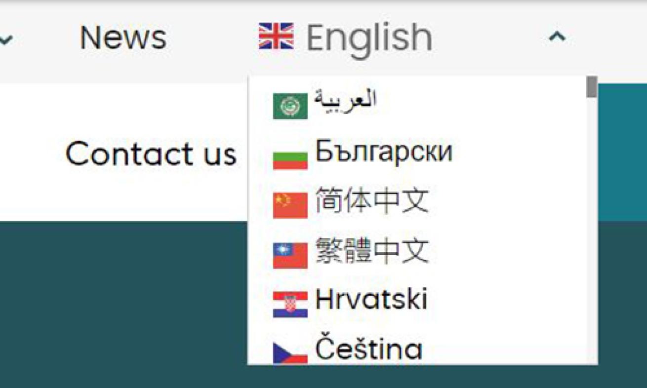 Google translate services expanded language options