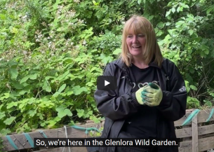 A still from a video of a woman in Glenlora Wild Garden wearing gardening gloves